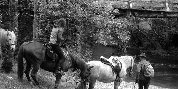 domastur_600x600 Rutas a caballo